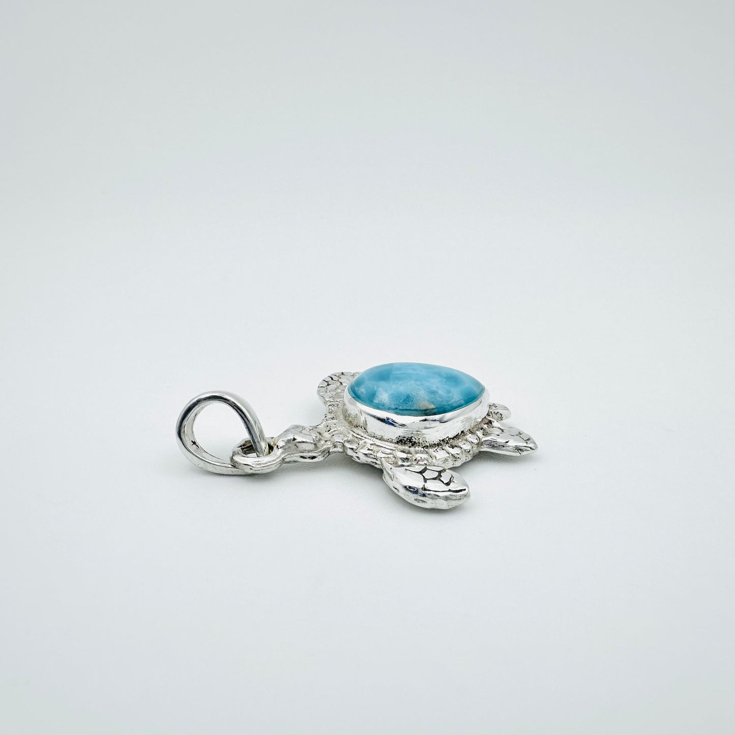 Turtle Pendant #1 (Top)